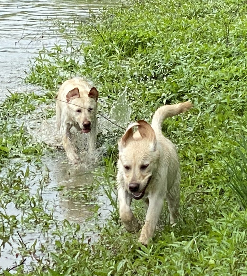 ann klee tweet media