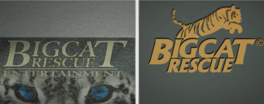 vima_marketing's tweet image. A horrific yet compelling story, Tiger King has many different strands. One particular element of the tale, too, piqued our professional interest. 

buff.ly/2WMH6kR via @AccelerateAgen

#TigerKing #SEOPractices #DigitalMarketing