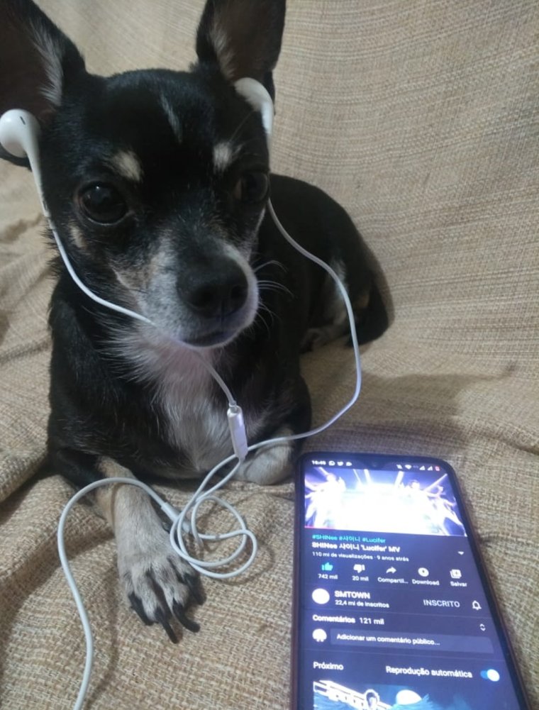 liaxsky's tweet photo. @shawolrj_ ouvindo a relíquia #TeamBlinger 🐶 #ShawolDayOnline #ShawolFamily @SHINee https://t.co/AMxHr05dHH