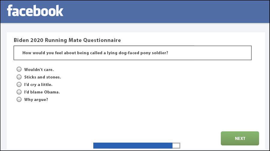 Question 8: How would you feel about being called a lying dog-faced pony soldier?