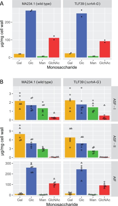 Check out this paper investigating the impact of deletion of all members of  the chitin transglycosylases gene family (crhA-G) in Aspergillus niger cell wall composition, rigidity and genome-wide gene expression. 
#openaccess #fungi 

Full work: doi.org/10.1016/j.tcsw…