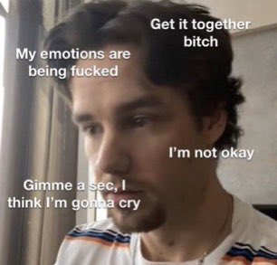 a  @LiamPayne reaction meme thread he can react to. you guys also enjoy these memes and feel free to save them!