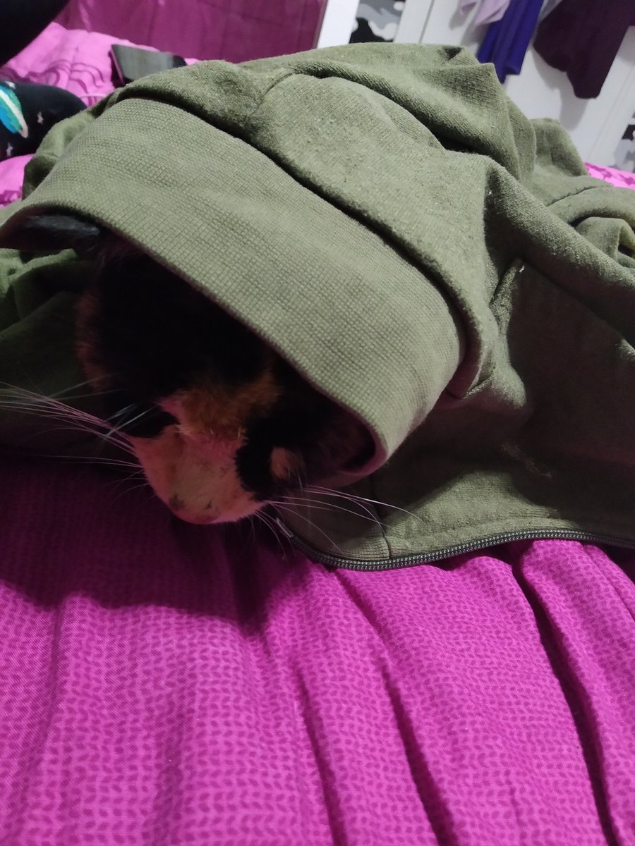 Rozi'm yağmura yakalanmış, ateşi var :(