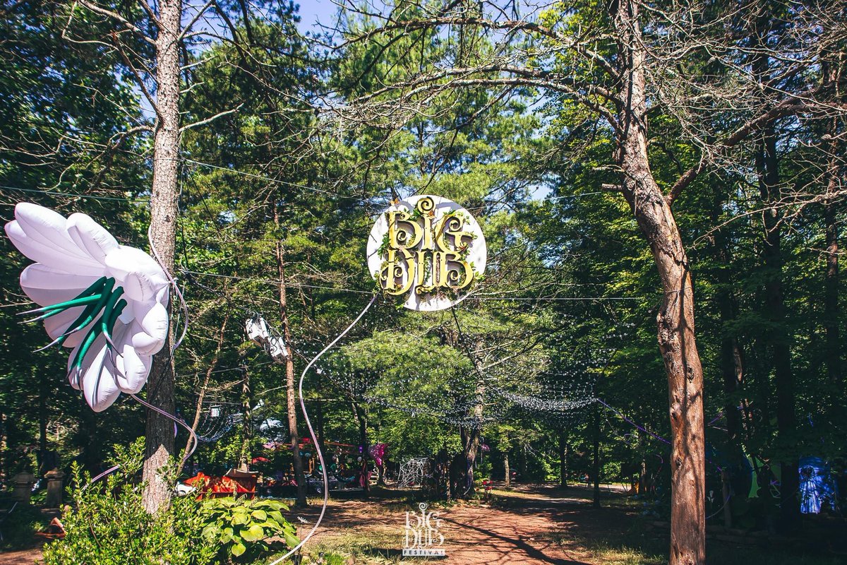 Big Dub Festival tweet media