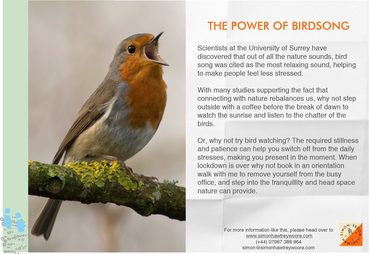 SWoore's tweet image. Recent research has shown us that the power of birdsong has been linked to helping people feel less stressed and more relaxed. Why not wake up half an hour earlier than you normally would, step outside and let nature start your day right.