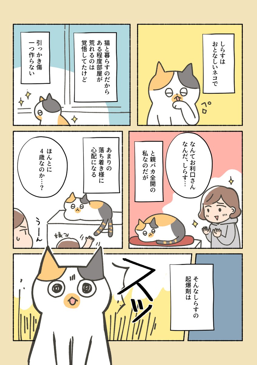 三毛猫しらす日記②

どこのお宅の猫もこんな感じなのかな…?
ねことおもちゃの話。 