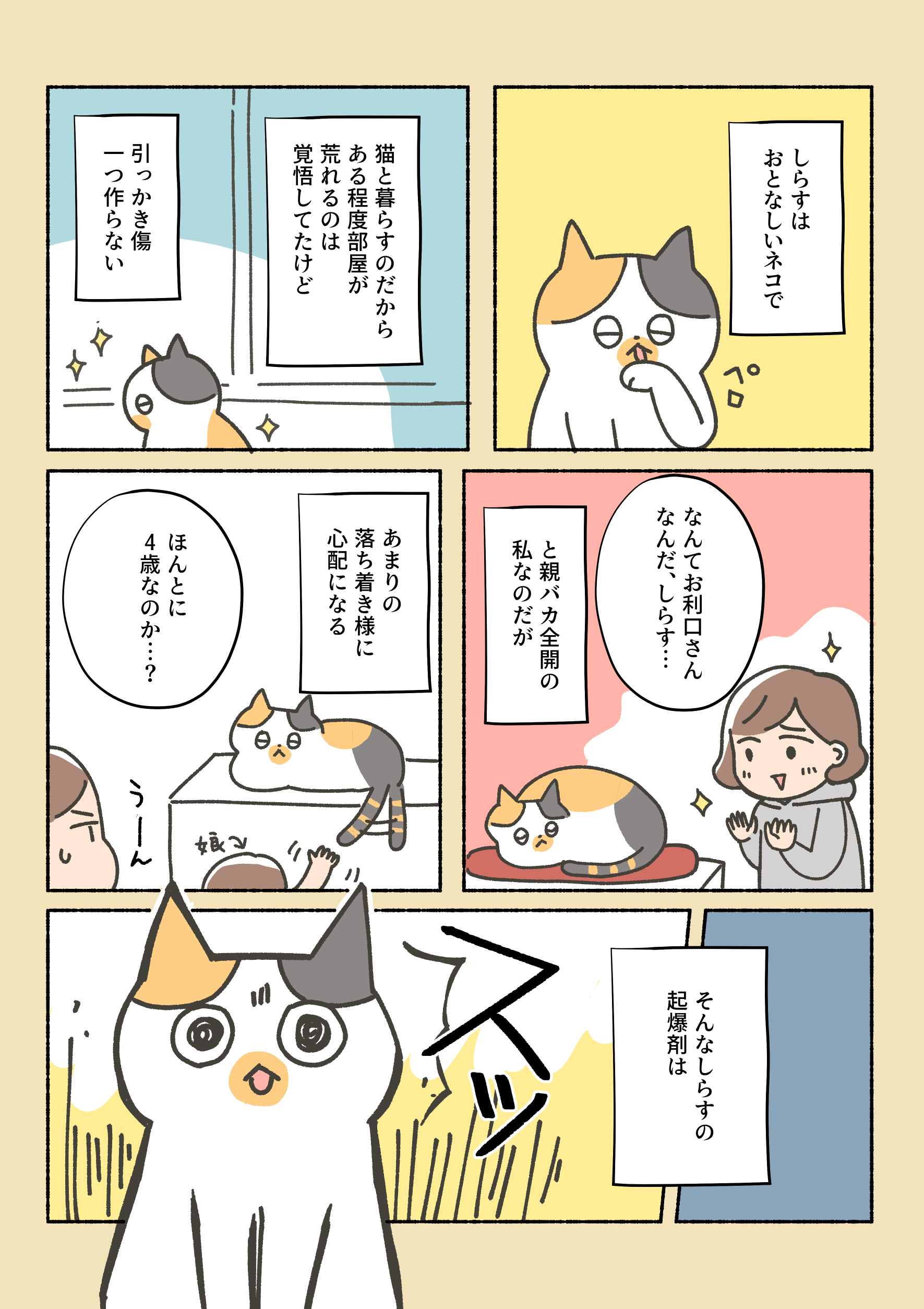 三毛猫ゴマ　クイック　10個 フォールデックス【北海道・女の子・2025年3月23日・キャリコ