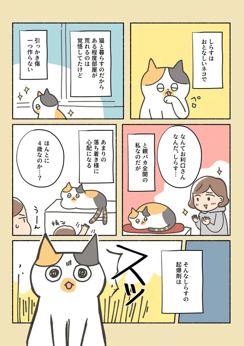 三毛猫しらす日記②

どこのお宅の猫もこんな感じなのかな…?
ねことおもちゃの話。 