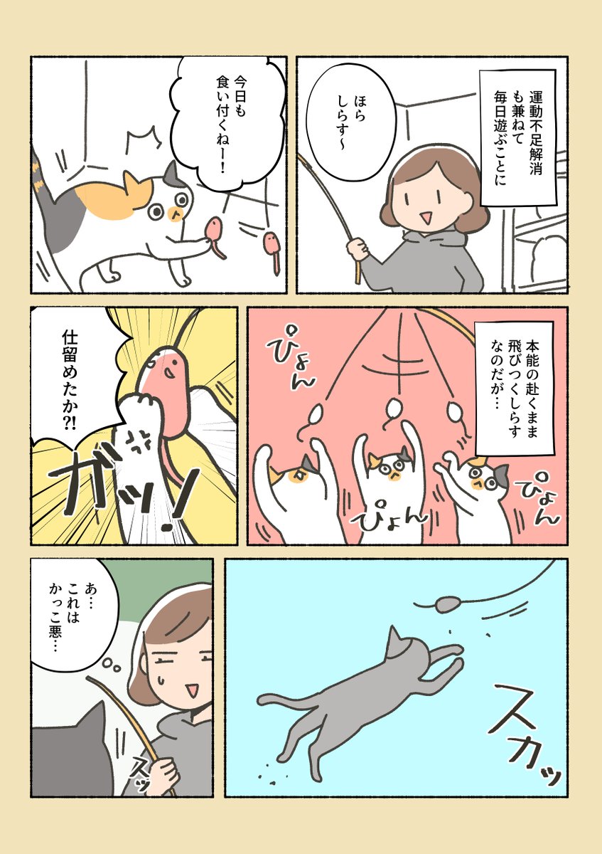 三毛猫しらす日記②

どこのお宅の猫もこんな感じなのかな…?
ねことおもちゃの話。 