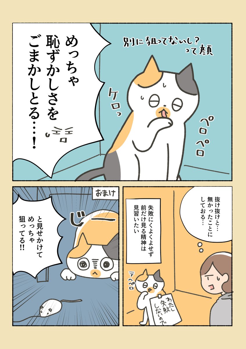 三毛猫しらす日記②

どこのお宅の猫もこんな感じなのかな…?
ねことおもちゃの話。 