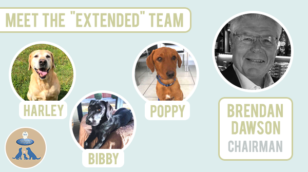 NHPetfood's tweet photo. Brendan has 3 dogs all from the Labrador family!

🐶 Harley, or Mr H as he is fondly known, is the Grandpa of the pack

🐶 Bibby is a real softie and likes nothing better than to snuggle up on the sofa

🐶 Poppy is a Fox Red Labrador and the baby of the family

#FriendsofNH #dogs https://t.co/Z64nk5cEbv