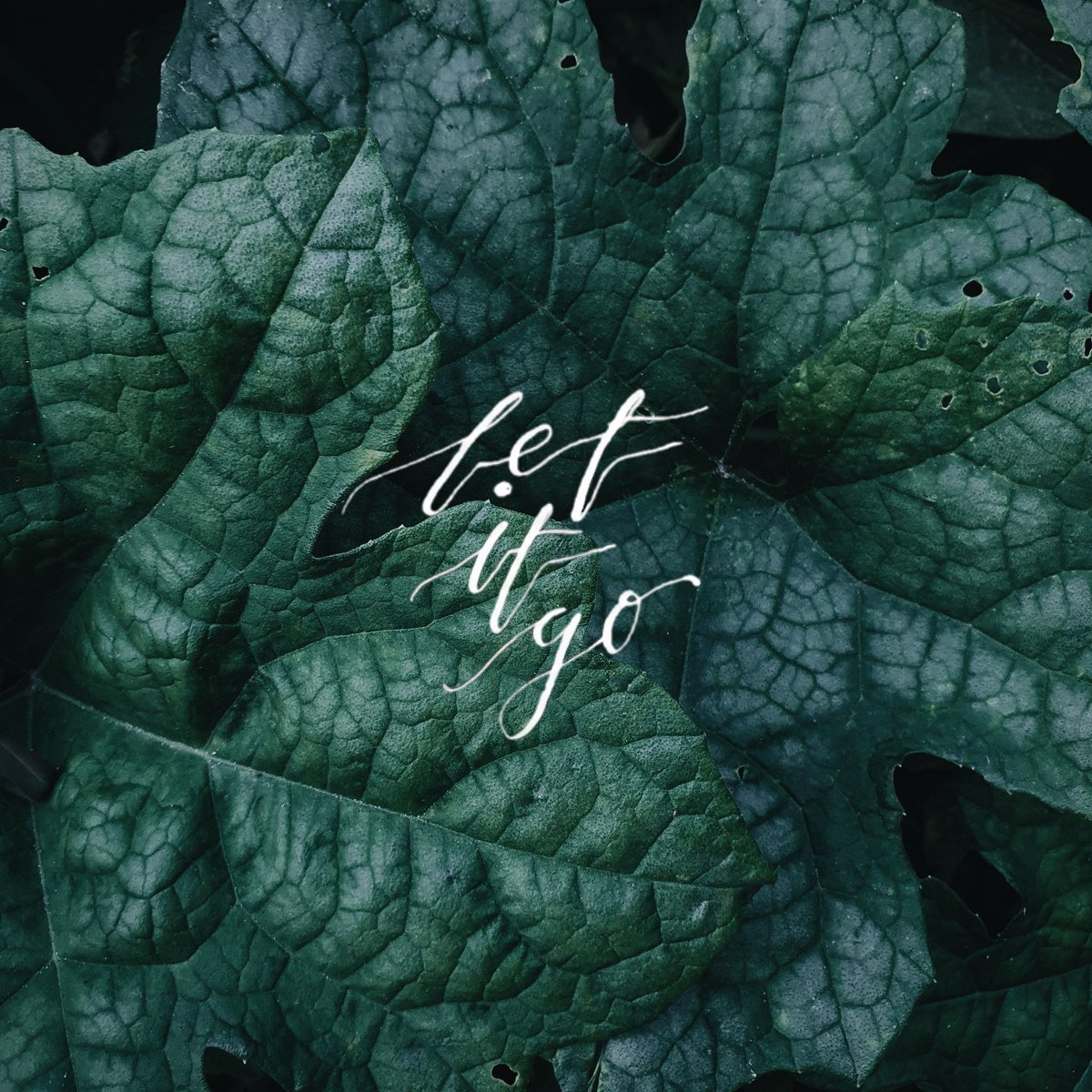 23millimeters's tweet photo. ฤดูฝน 🌿 https://t.co/WAXvJH762r
