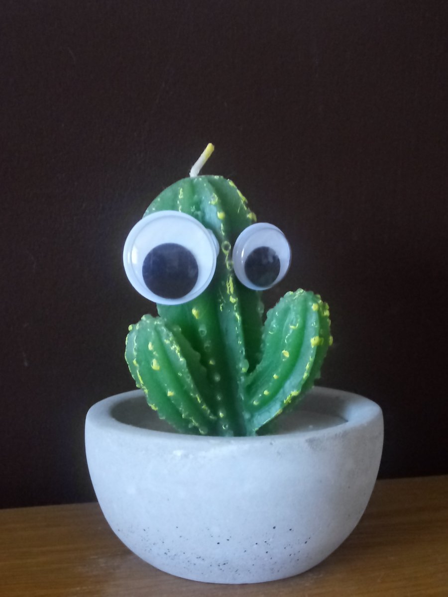 qb_sch's tweet image. A fun art challenge to try at home! #CreateAtHome These great efforts sent in by y7 pupils. #QBArts