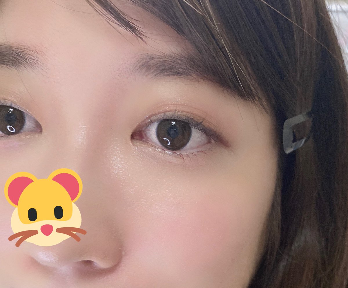 はらぺこはむすたー チークと涙袋のアイシャドウがなかなか色がつかなーい 指でやらない方が良いですかね アイライン跳ねないようにしよって引いたらなんか丸くなっちゃった O 眉毛がゲジゲジだからどうにかしたいな