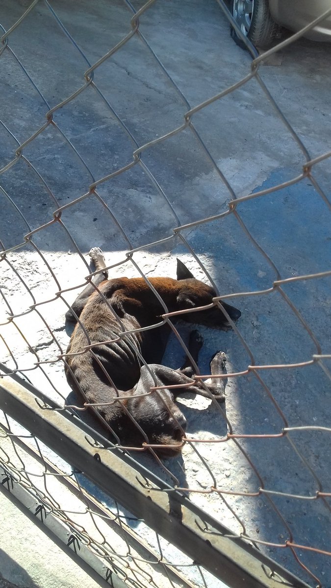 B25778301's tweet photo. Ayudemos a Difundir RT esta en Campo C. @eymarfuentes1 @Miguelchacon73 @TochadasVE @LaPrensaTachira @ManoloDavilaS @Fabiola_Nino @LaPrensaTachira @pepeAJCB @kristoferlbl @DonGochoK  
#Tachira #Venezuela https://t.co/YVjlqtB0r6