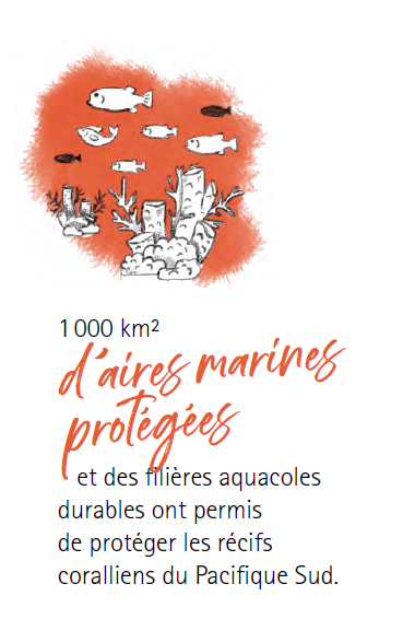 FFEM_Fr's tweet photo. #JourneeMondialeOcean Le @FFEM_Fr promeut l’#exploitationdurable des ressources halieutiques grâce à des structures de #concertation pour mettre fin à la surexploitation. La #miseenréseau des #airesmarinesprotégées permet aux acteurs de construire une #visioncommune des milieux https://t.co/5j9IKq59gg