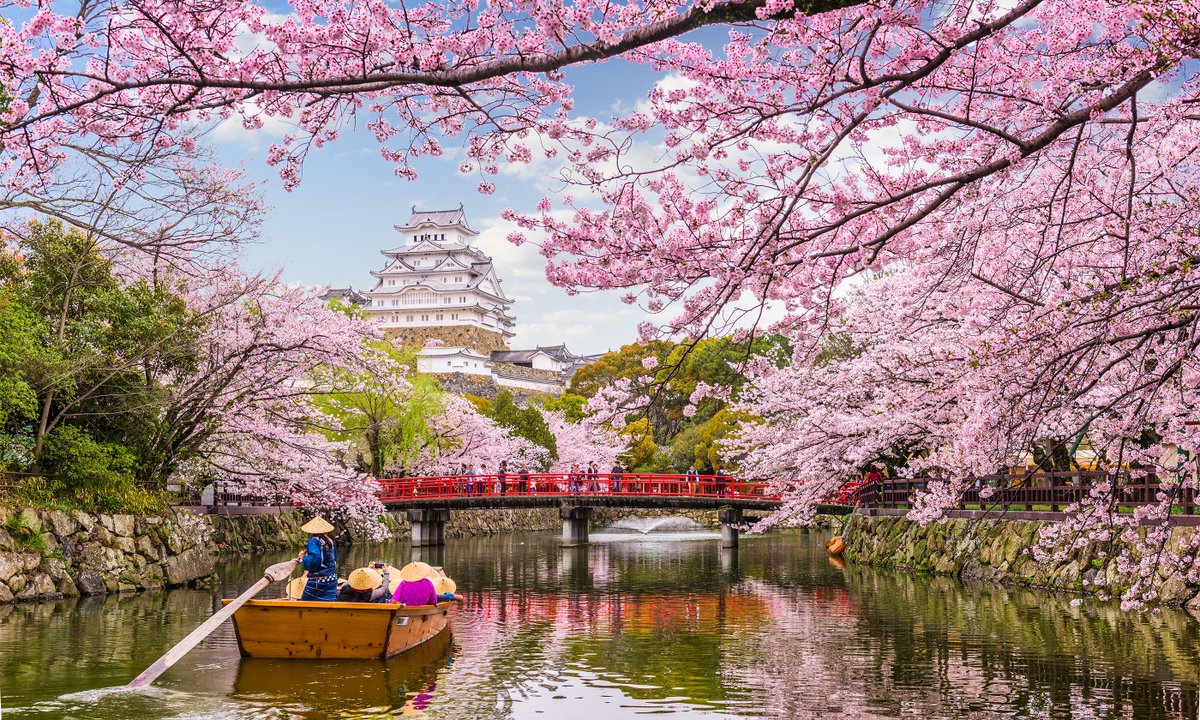 wanderlustmag's tweet photo. When you're ready to travel again, these top tips on Kyoto and Tokyo can help you plan > https://t.co/vTX306AB9n

With tips on temples, viewpoints and hidden lanes, you'll have plenty of inspiration on where to go...

#ad #wlfc 
@FlightCentre_UK https://t.co/WUlODj3Wsf