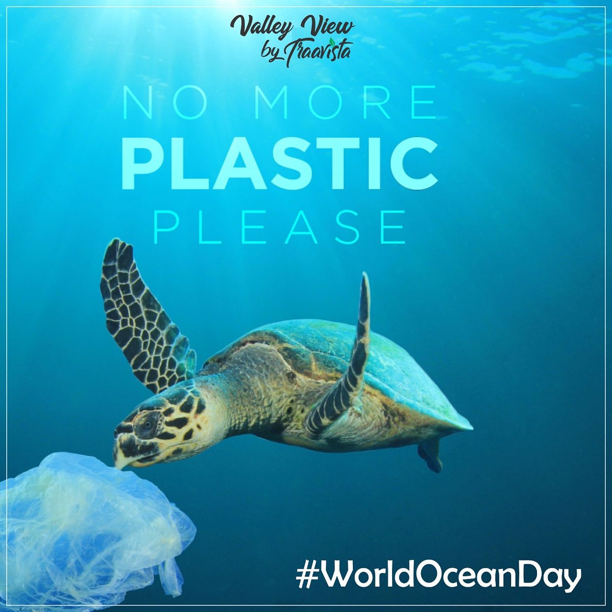 traavista's tweet photo. Today we commemorate World Ocean Day , a date to remember that we need to prevent plastic pollution and encourage solutions for healthier oceans. It's time to act - it's time to do something for  our oceans and the ecosystems inside of them.

#WorldOceanDay
#ValleyviewbyTraavista https://t.co/SIC18zXrhs