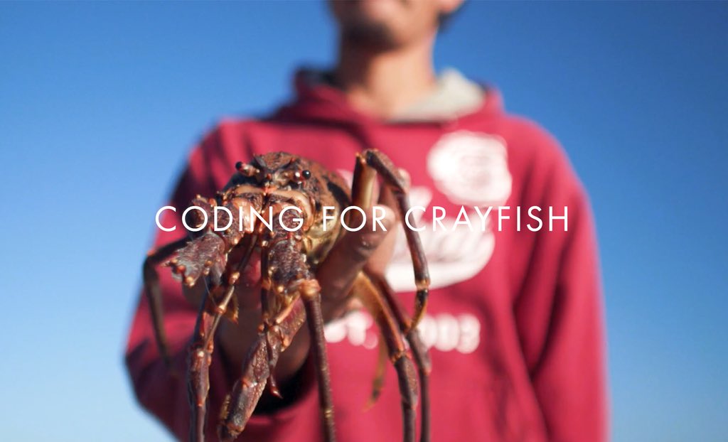 abalobi_app's tweet photo. WATCH: Communities in the red & a fishery on the brink of collapse. #codingforcrayfish explores the notion of #rethinkingsustainability with #tech, through the story of traditional fisher David Shoshola...
📽 https://t.co/816YkMqhGh
ACT: https://t.co/cKUNXZ3XD2
#WorldOceansDay https://t.co/Jynew5zdYF