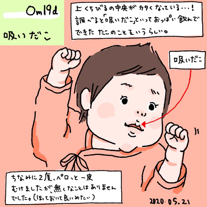 吸いだこ??可愛い??

#令和ベビー #育児絵日記 #育児漫画 #2020may_baby 