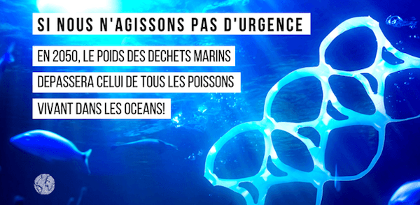 Fondation Nature Homme tweet media