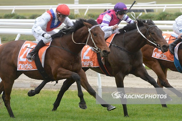 UnitedSynd's tweet photo. Terrific run today by the @MickPriceRacing @MichaelRhysKent trained SCORPIUS beaten a lip after a super ride by young apprentice @WILLPRICE50 Both horse and jockey have very promising careers ahead!! https://t.co/tkntuiuCDs