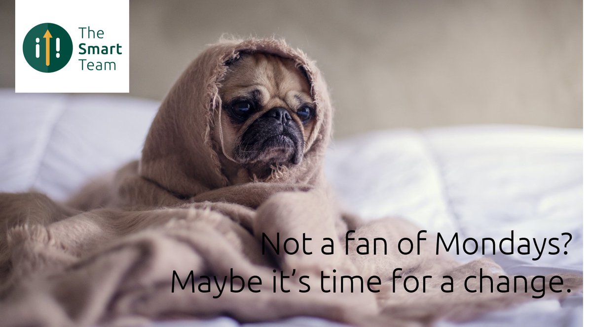 The Smart Team tweet media