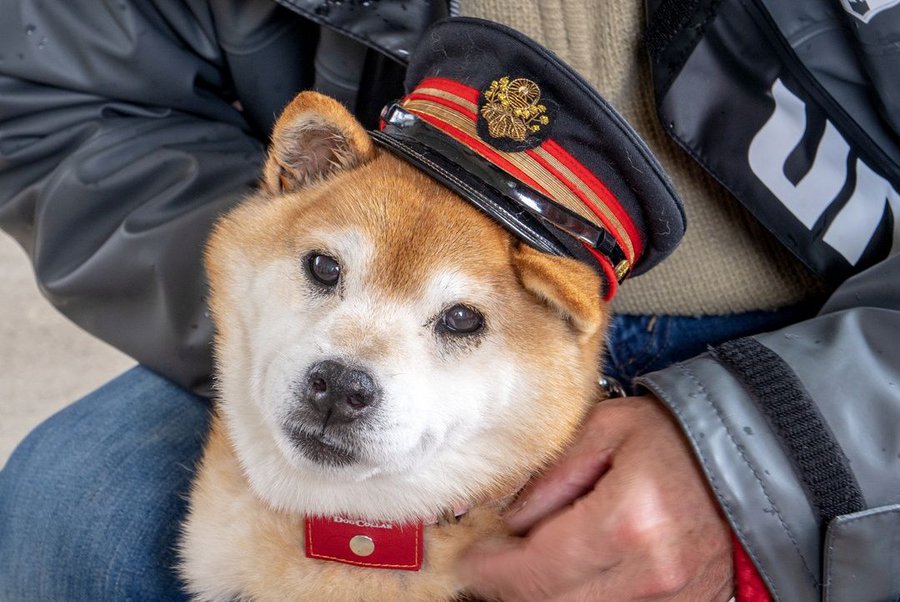 Jr旧新十津川駅 駅長犬ララ 飼い主の高橋一正さんが手記 駅長犬lalaもうひとつの新十津川駅物語 を発売 北海道 江別 の暮らし情報 Hokkaido Ebetsu Life 北海道 江別 の暮らし情報 Hokkaido Ebetsu Life