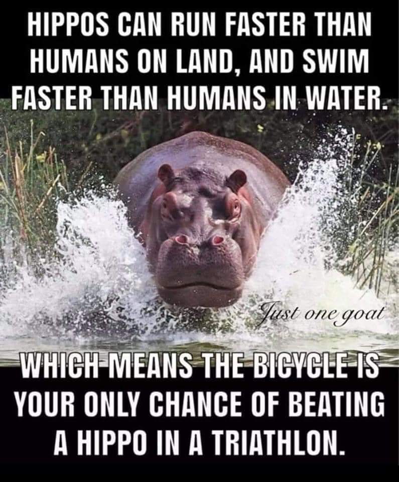 FeeBeFIT's tweet photo. #CyclingHumour 🚴‍♀️🚴‍♂️ https://t.co/PQhuSkKmev
