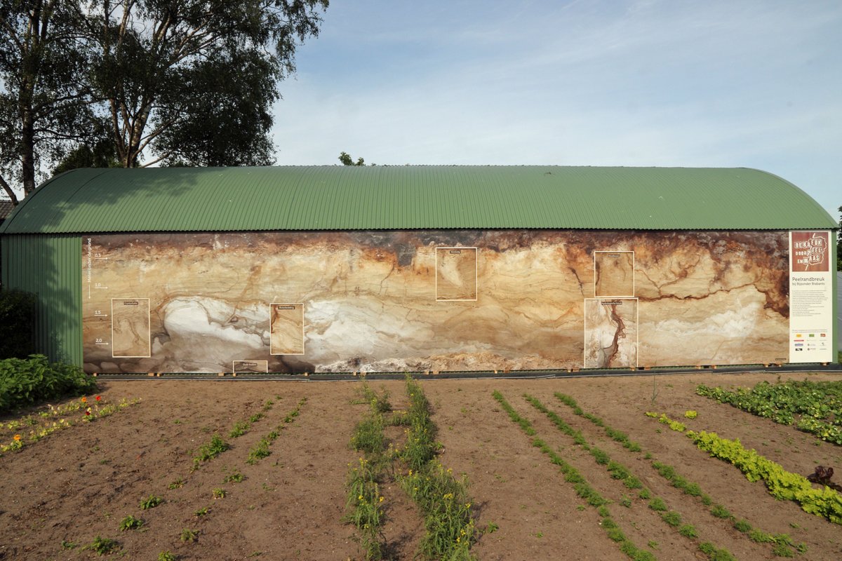 Recent hebben wij aan #BijzonderBrabants in #Deurne een afdruk op ware grootte van de bodem van de #Peelrandbreuk geleverd. #wandpanelen #gevelreclame #depeel #BoerHenk gevelreclame.nl