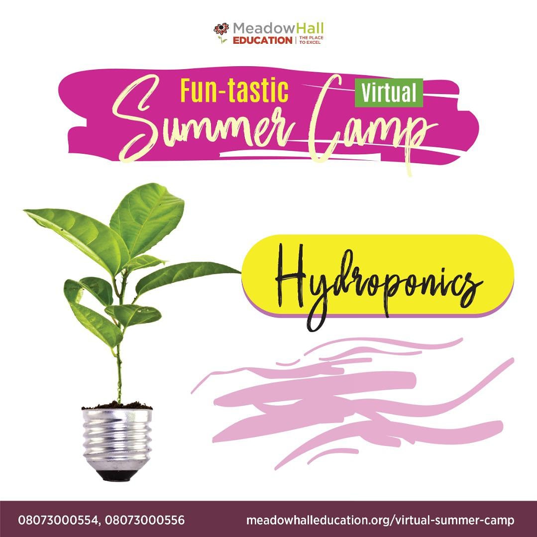 MeadowHallGroup's tweet photo. Sign up for the Hydroponics Club and learn just how to grow your own vegetables.
For enquires, please call 08073000554, 08073000556 or visit https://t.co/ECMqGdFquF
 #meadowhall #meadowhallgroup #learningonline #hydroponics https://t.co/w5LYzZUh2D