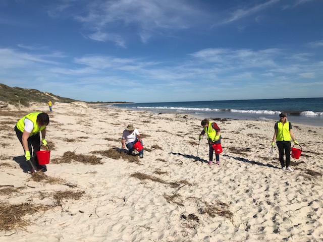 DWER_WA's tweet photo. To mark UN #WorldOceansDay Keep Australia Beautiful WA organised a beach tidy at Mullaloo. What are you doing to look after your ocean? More info here: https://t.co/W5pF09nxui #ProtectOurHome #sustainability #innovation #pickupthree https://t.co/1pMNdP4NVJ