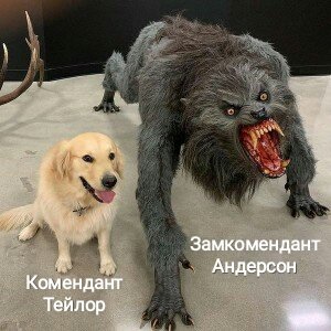 vall_multiverse's tweet photo. Шакальных мемов вам в ленту)
"Правители" военной ба��ы Цитадель
#valleyz https://t.co/w8uJum7Vok