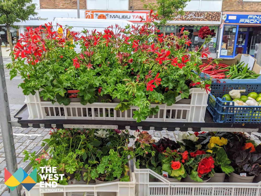 WestEndPlymouth's tweet image. Planning your shopping for the week ahead? Joe Browns Fruit &amp;amp; Veg is operating from Cathy's Flowers until @plymouthmarket reopens

Fresh produce and locally grown flowers to brighten up your garden. They offer deliveries too! 

 See Shop4Plymouth.co.uk for more #Shop4Plymouth