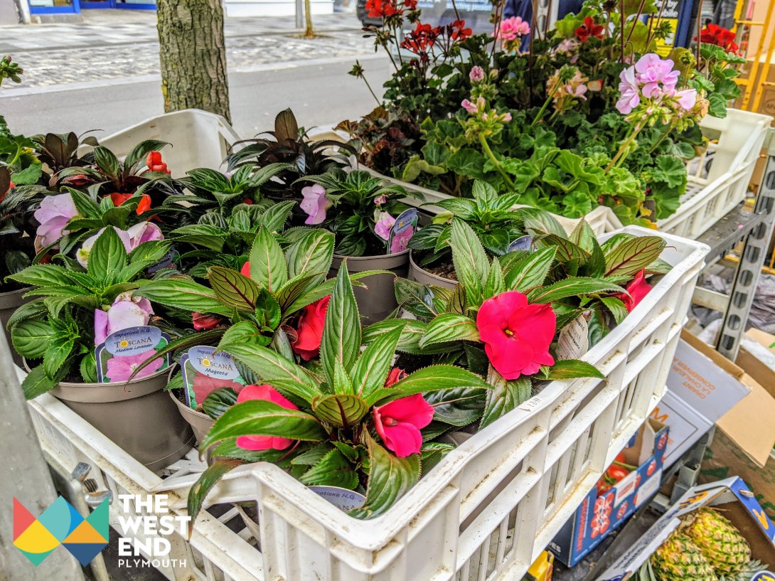 WestEndPlymouth's tweet image. Planning your shopping for the week ahead? Joe Browns Fruit &amp;amp; Veg is operating from Cathy's Flowers until @plymouthmarket reopens

Fresh produce and locally grown flowers to brighten up your garden. They offer deliveries too! 

 See Shop4Plymouth.co.uk for more #Shop4Plymouth