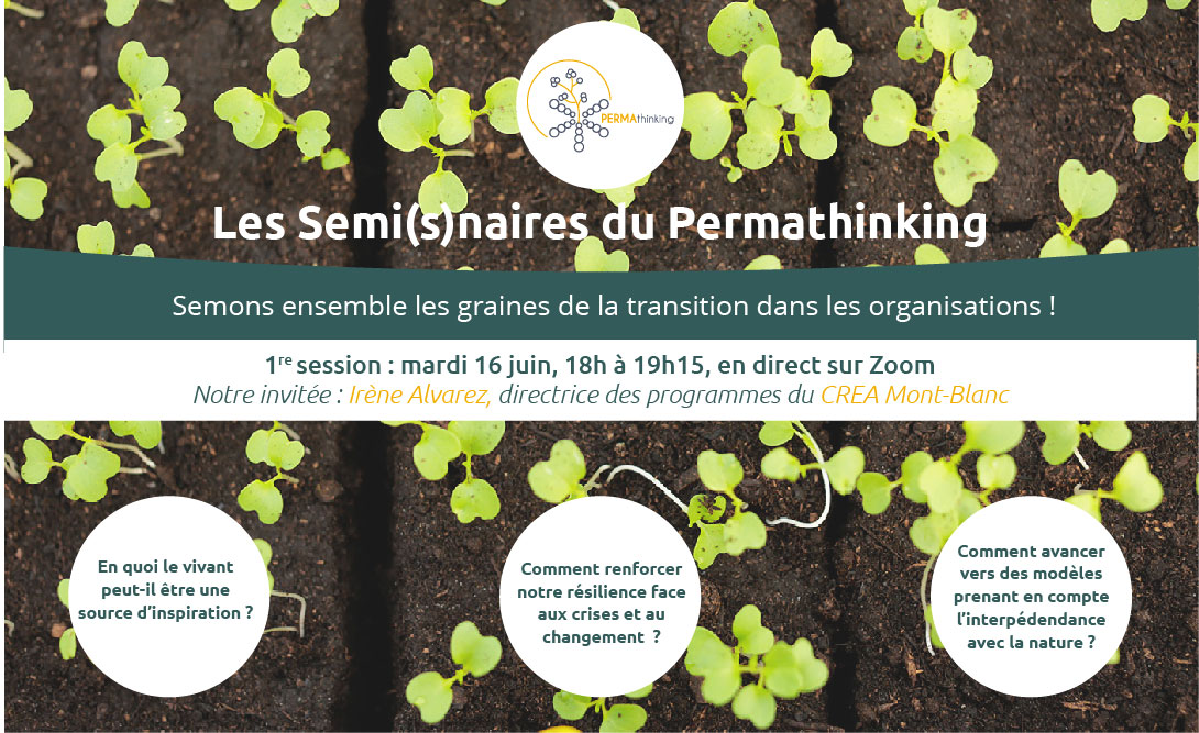 Rejoignez les semi(s)naires du #Permathinking pour semer ensemble les graines de la #transition dans les entreprises ! 1re session le 16 juin à 18h pour parler #vivant, #résilience et nouveaux modèles. #Permaculture #DesignThinking  web.dooliz.com/permathinking
