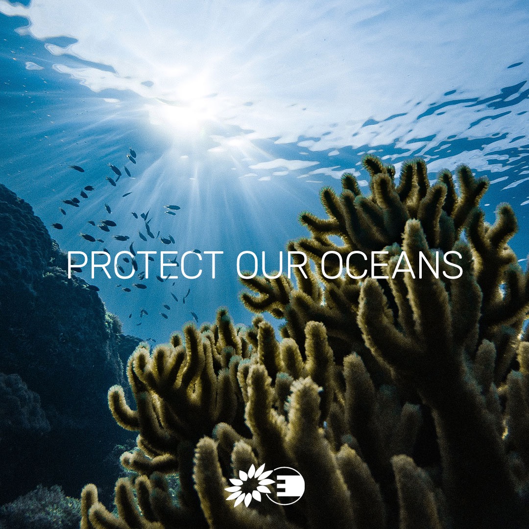 Notre vie sur Terre dépend de la santé des océans. L'effondrement de masse de la biodiversité marine est extrêmement préoccupant. Pour assurer nos conditions d'existence, protégeons et restaurons les écosystèmes marins #WorldOceansDay #love30x30