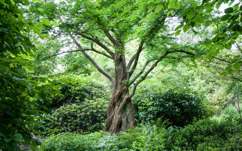 TheStudySociety's tweet image. &apos;This world wants your body. Well, serve the world with your body. But Param-Atman wants your love only. If you love Param-Atman, it would be Param-Atman who would then begin to serve you.&apos;

 - H.H. Shantanand Saraswati

#StudySociety #DailyInspiration #MondayMusings  #TSS