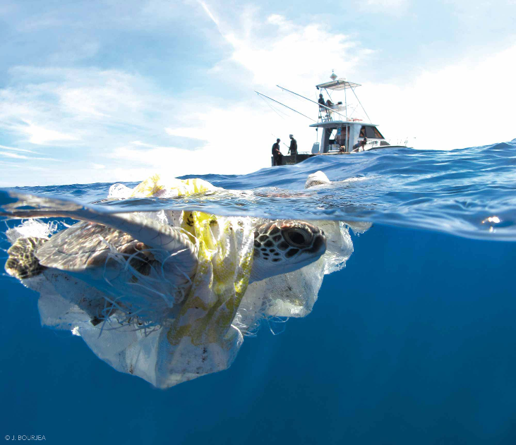ISPRA_Press's tweet photo. #GiornataMondialeDegliOceani: #Ispra, Centro #INFORAC @UNEP MAP (Mediterranean Action Plan) per la protezione del #Mediterraneo, lancia una campagna di comunicazione digitale con una pagina web e iniziative dedicate. Guarda i contenuti 👉https://t.co/o7R7DHePvc https://t.co/TU0Zv6xbSE
