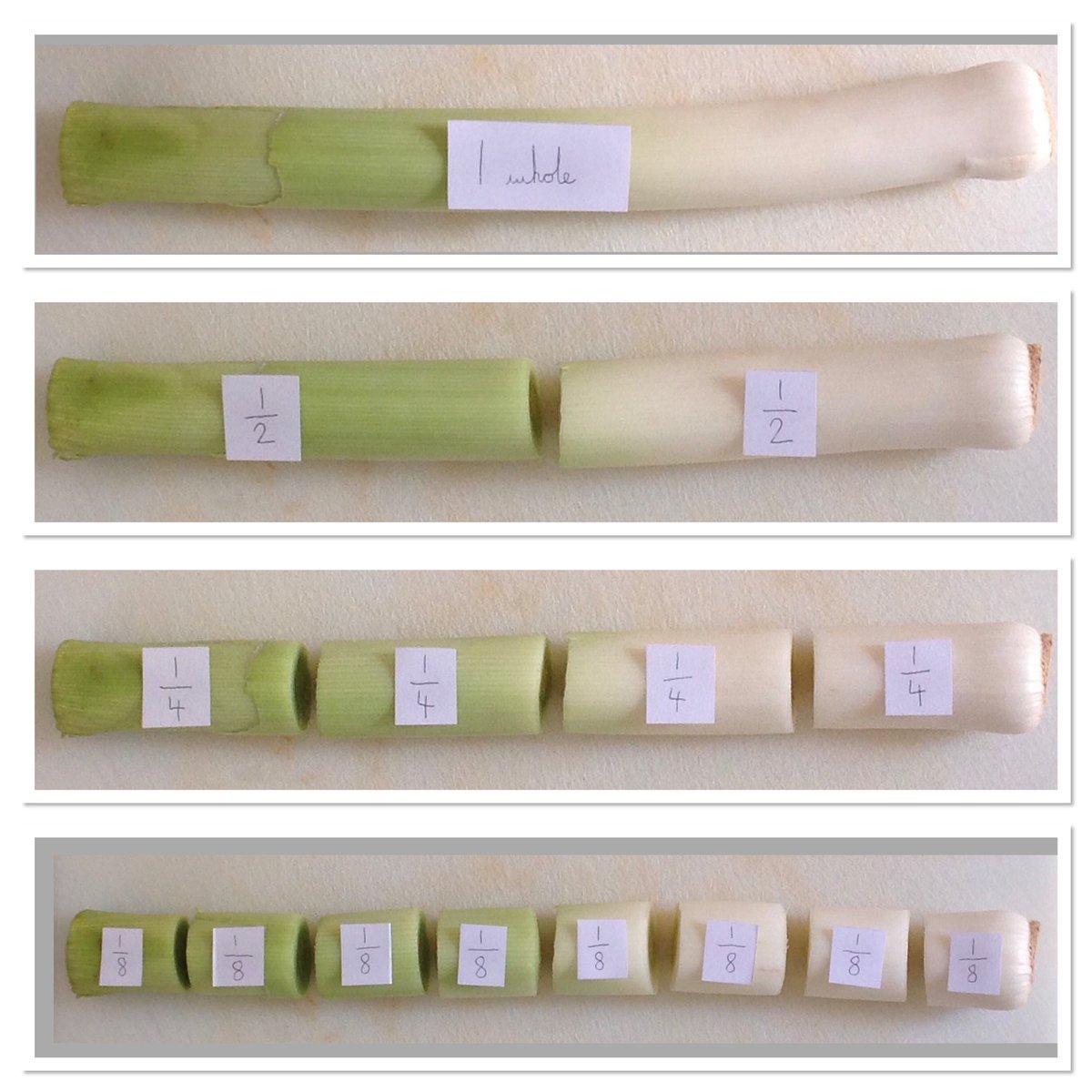 @HothamMissCopner (@hothammisscopn1) on Twitter photo This week on Google Classroom: equivalent fractions! Here I can see 1/2 = 2/4. What else can you see from my LEEK-y fraction wall? <a href="/HothamMissThorp/">Miss Thorp</a> This week on Google Classroom: equivalent fractions! Here I can see 1/2 = 2/4. What else can you see from my LEEK-y fraction wall? <a href="/HothamMissThorp/">Miss Thorp</a>