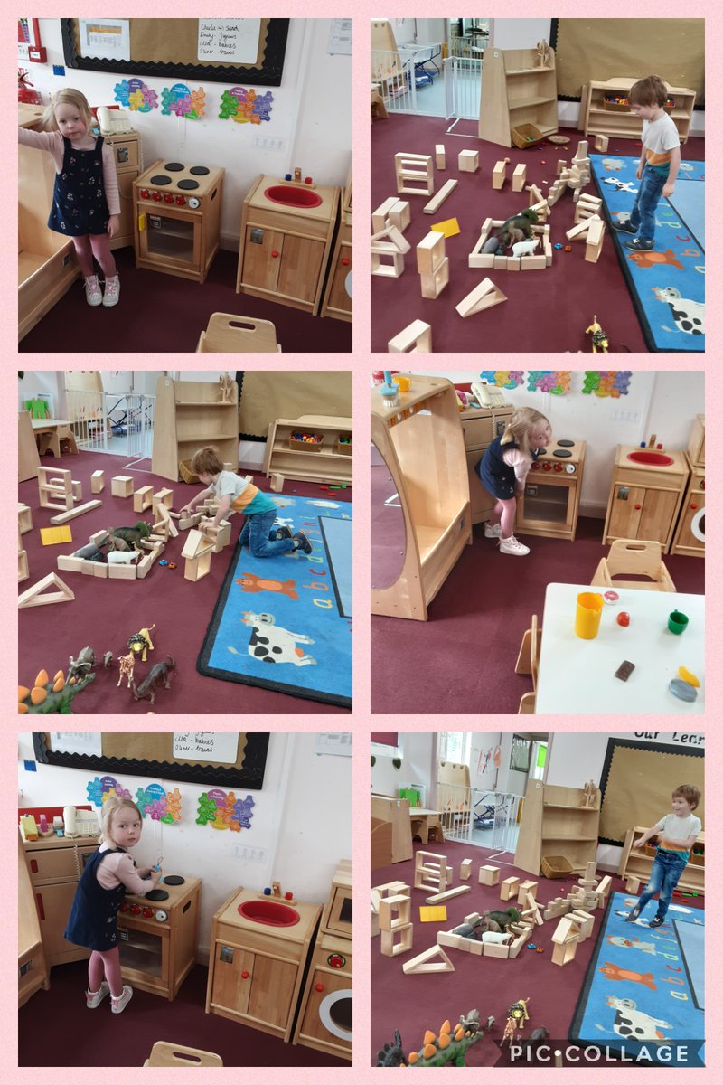 Timbertree YSA tweet media