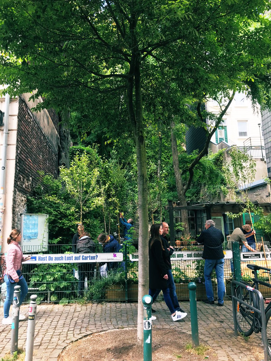 EvaMiriamFuchs's tweet photo. Das war eine richtig tolle #talbuddeln-Baumübergabe inklusive spontaner #Wandelalle gestern. #Wuppertal mag eine klamme Kommune sein, aber sie ist reich an begeisterungsfähigen &amp; engagierten Menschen. 🤩🌳🙌🏼💚
#Stadtbäume #GrünesWuppertal #Einheitsbuddeln #Talradler #SDG13 https://t.co/hjaG8c2pEB