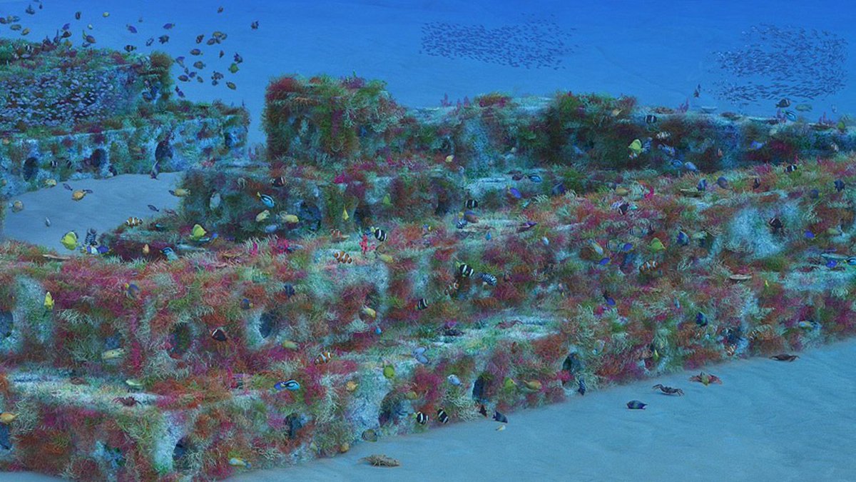 Intellectual Property Office UK (@the_ipo) on Twitter photo On #WorldOceansDay 🌎🌊 the #IPOblog looks at how <a href="/arc_marine/">ARC Marine</a> are saving our seas with their #patented Reef Cubes, providing an environmentally friendly habitat for sea life 🐠 ow.ly/Lp7d50A1sFw
#ProtectOurHome On #WorldOceansDay 🌎🌊 the #IPOblog looks at how <a href="/arc_marine/">ARC Marine</a> are saving our seas with their #patented Reef Cubes, providing an environmentally friendly habitat for sea life 🐠 ow.ly/Lp7d50A1sFw
#ProtectOurHome