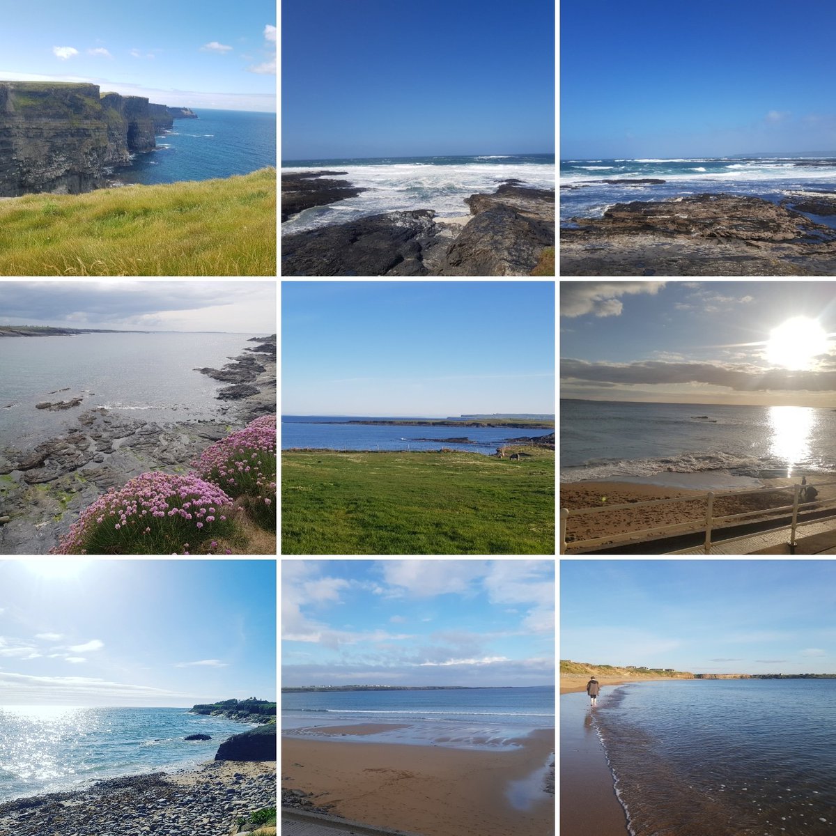 Happy World Oceans Day!🌊 

<a href="/WorldOceansDay/">World Ocean Day</a> &amp; #IrishAquaculture play their part in providing sustainable food production 🐚🌊🐟
#Worldoceansday #vitaminsea🌊 #IrishAquaculture #IrishSeafood

<a href="/IFAmedia/">Irish Farmers' Association</a> <a href="/BordIascMhara/">Bord Iascaigh Mhara (BIM)</a> <a href="/MarineInst/">Marine Institute</a> <a href="/Bordbia/">Bord Bia - The Irish Food Board</a>