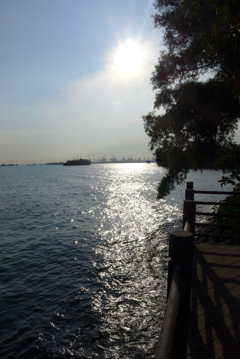 koyajix73's tweet image. ビーチでまったり🌅
#2ya
.