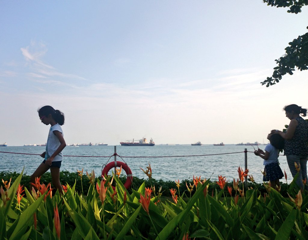 koyajix73's tweet image. ビーチでまったり🌅
#2ya
.