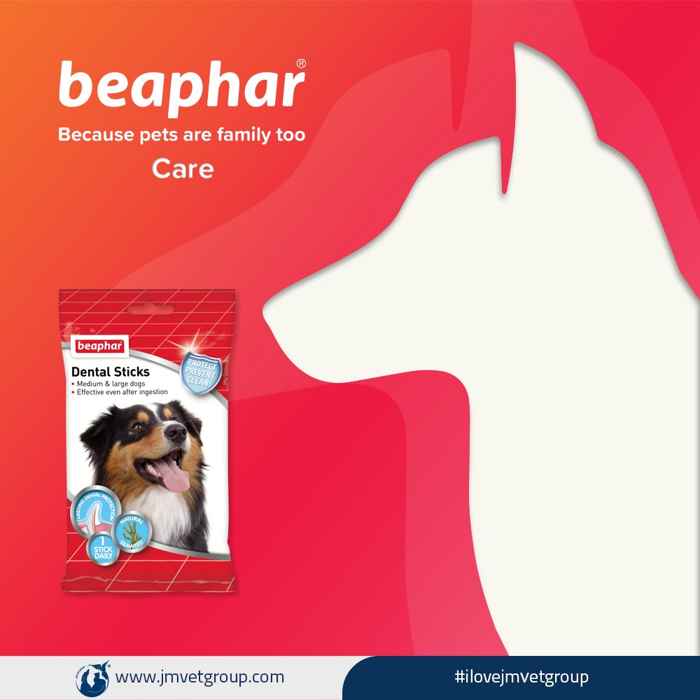 jmvetgroup's tweet photo. beaphar - Dental Sticks Medium &amp; Large Dogs
استیک دنتال مخصوص سگ های متوسط و بزرگ 7 عددی
182 gr
✨❤️🐶❤️✨ 
#ilovejmvetgroup
#jmvetgroup
#beaphar
#beaphariran
#beapharcare
#بیفار
#بیفار_ایران https://t.co/CaoIugcQ6E