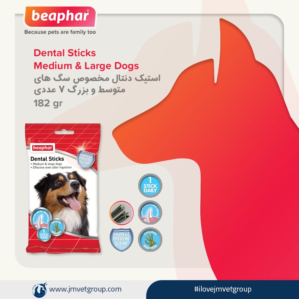 jmvetgroup's tweet photo. beaphar - Dental Sticks Medium &amp; Large Dogs
استیک دنتال مخصوص سگ های متوسط و بزرگ 7 عددی
182 gr
✨❤️🐶❤️✨ 
#ilovejmvetgroup
#jmvetgroup
#beaphar
#beaphariran
#beapharcare
#بیفار
#بیفار_ایران https://t.co/CaoIugcQ6E