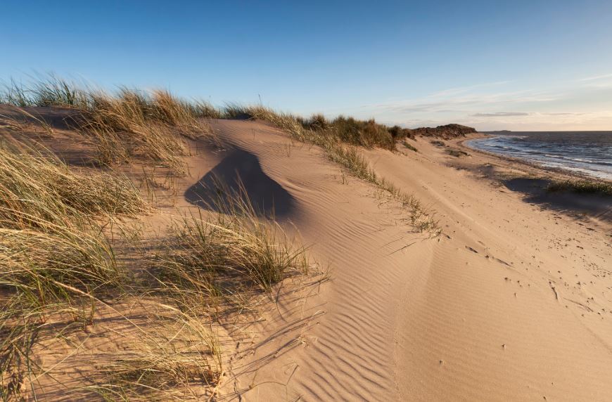 visitnorfolk's tweet image. There might yet be a summer season, in which case we CAN'T WAIT to welcome visitors, but PLEASE #Respect #Protect #Enjoy our beautiful beaches, coast and countryside bit.ly/2UlFgpg #StaySafe #StayAlert