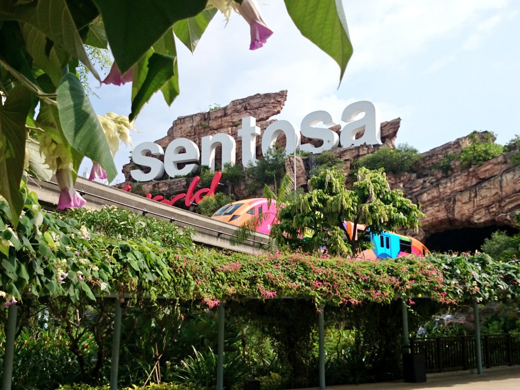 koyajix73's tweet image. セントーサ島へ行って、、、
#2ya
.